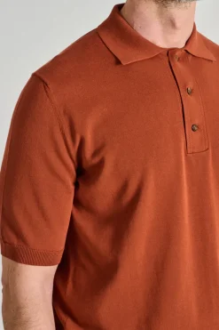 Polo manica corta cotone marrone
